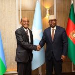 Wasiir fiqi oo qaabilay dhiggiisa dalka Jabuuti