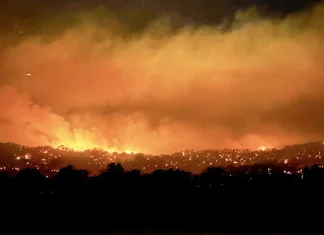 Australia declares national disaster as devastating bushfires rage nationwide Australia declares state of disaster as bushfires rage