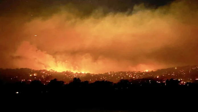 Australia declares state of disaster as bushfires rage