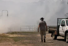 Dozens of homes destroyed, one fatality in Australian bushfires Scores of homes razed, one dead in Australian bushfires