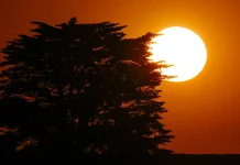 Heatwave Hammers Australia’s South as Officials Warn of Health Risks Health warnings as Australia's south hit by heatwave