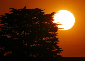 Heatwave Hammers Australia’s South as Officials Warn of Health Risks Health warnings as Australia's south hit by heatwave