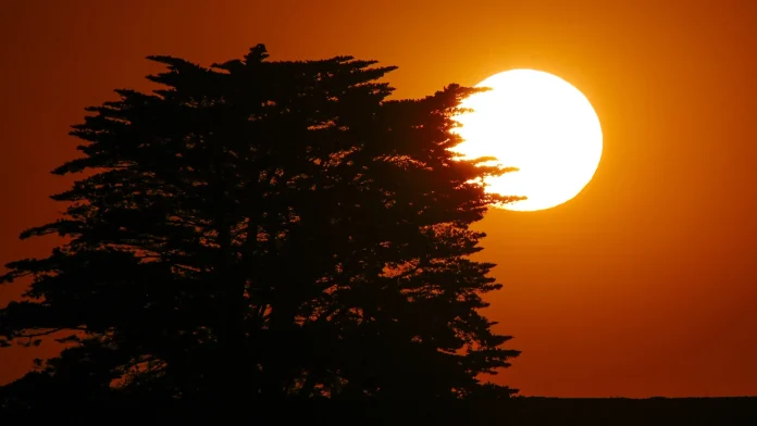 Heatwave Hammers Australia's South as Officials Warn of Health Risks Health warnings as Australia's south hit by heatwave