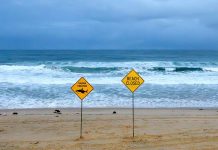 Irish Doctor Recounts Harrowing Shark Attack Encounter Off Australian Coast Irish doctor recalls scene of shark attack in Australia