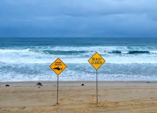 Irish Doctor Recounts Harrowing Shark Attack Encounter Off Australian Coast Irish doctor recalls scene of shark attack in Australia