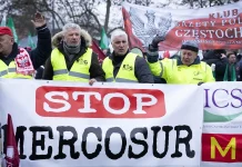 MEPs vote to send Mercosur trade deal to EU top court MEPs vote to refer Mercosur deal to top EU court