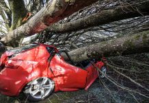 Storm Goretti Batters Europe: Widespread Power Outages and Travel Chaos Power cuts, travel disrupted as Storm Goretti hits Europe