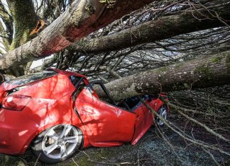 Storm Goretti Batters Europe: Widespread Power Outages and Travel Chaos Power cuts, travel disrupted as Storm Goretti hits Europe