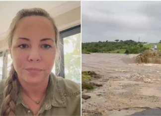 Video: Irish woman saved amid deadly flooding in South Africa Watch: Irish woman rescued in deadly South Africa floods