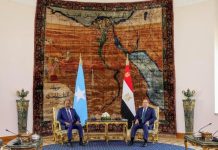 Madaxweyne Xasan Sheekh oo la kulmay Dhiggiisa dalka Masar