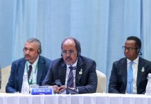 Madaxweyne Xasan oo ka qeybgalay shir madaxeedkii 2aad ee Talyaaniga Iyo Afrika