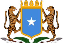 Madaxda dowlada oo laga mamnuucay Gaadiidka aan Taargada lahayn