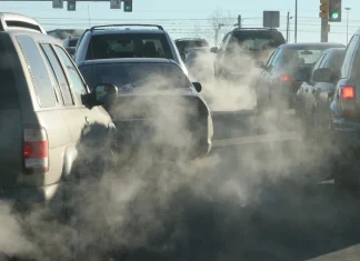 Activist Says Trump’s Rollback of Climate Protections Would Be Catastrophic Trump repeal of climate rules 'catastrophic' - activist