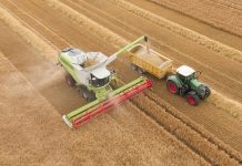 EU watchdog warns farm subsidy changes could delay crucial payments Changes to farm payments could cause delays - EU watchdog