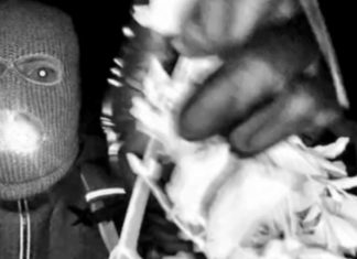 Glove Found Near Nancy Guthrie’s Home Yields No DNA Match No DNA match on glove found near Nancy Guthrie's home