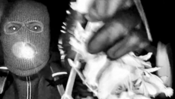 Glove Found Near Nancy Guthrie’s Home Yields No DNA Match No DNA match on glove found near Nancy Guthrie's home