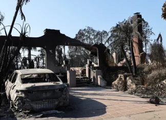 Investigation Probes Alleged Discriminatory Emergency Response to Los Angeles Wildfires Probe into possible discriminatory response to LA fires