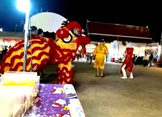 Viral video shows Thai police in lion costume capture thief Watch: Thai police undercover in lion costume nab thief