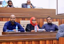 Ka doodista cutubka 6aad ee dastuurka dalka oo la soo gabagabeeyay