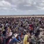 Dowladda Soomaaliya oo ciidamo dheeraad ah geysay Baraawe iyo Buurhakaba