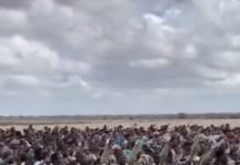 Dowladda Soomaaliya oo ciidamo dheeraad ah geysay Baraawe iyo Buurhakaba