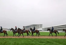Roar Returns to Cheltenham as Festival Struggles with Declining Attendance Cheltenham roar returns, festival battles falling crowds