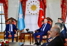 Madaxweyne Xasan Sheekh oo la kulmay Madaxweyne Erdogan