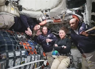 Artemis crew aims to reveal hidden health hazards of spaceflight Artemis astronauts to shed light on space health risks