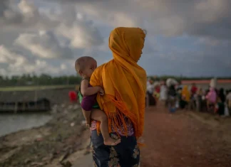 Global development aid drops 25% in 2025, raising alarm International development aid fell by a quarter in 2025