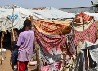 Officials warn two-thirds of South Sudan are facing severe food insecurity Two-thirds of South Sudan faces acute hunger - officials