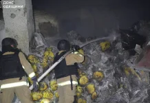 Russian drone strike hits strategic Odesa port in Ukraine Russian drones strike Ukraine's Odesa port