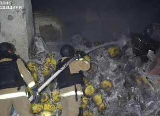 Russian drone strike hits strategic Odesa port in Ukraine Russian drones strike Ukraine's Odesa port