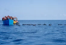 UN: Nearly 7,900 Migrants Died or Disappeared on Routes in 2025 7,900 died, disappeared on migration routes in 2025: UN