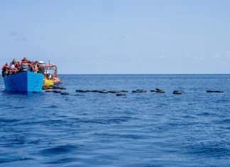 UN: Nearly 7,900 Migrants Died or Disappeared on Routes in 2025 7,900 died, disappeared on migration routes in 2025: UN