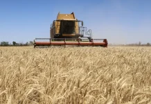 Ukraine and Israel dispute alleged theft of grain shipments Ukraine, Israel in spat over 'stolen' grain shipments