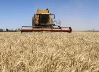 Ukraine and Israel dispute alleged theft of grain shipments Ukraine, Israel in spat over 'stolen' grain shipments