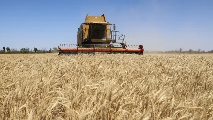 Ukraine, Israel in spat over 'stolen' grain shipments