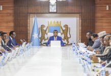 Golaha Wasiirrada DF Soomaaliya oo ansixiyey Hindise-sharciyeedyo, Heshiisyo iyo Xeer—nidaamiyayaal