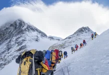 A record number of climbers summit Everest from Nepal Record number of climbers scale Everest from Nepali side
