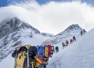 A record number of climbers summit Everest from Nepal Record number of climbers scale Everest from Nepali side