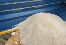 European Commission unveils plan to curb soaring fertiliser costs for farmers EU Commission launches plan to address fertiliser costs