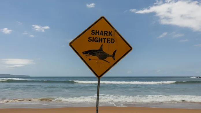 Man killed by great white shark in western Australia