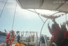 International outrage grows over treatment of Gaza flotilla activists Outrage mounts over treatment of Gaza flotilla activists
