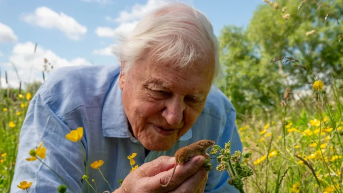 Renowned naturalist Attenborough marks 100th birthday