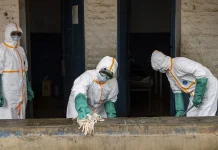 WHO Calls for Urgent Response to Rapidly Spreading Ebola Outbreak WHO urges action over 'fast moving' Ebola outbreak