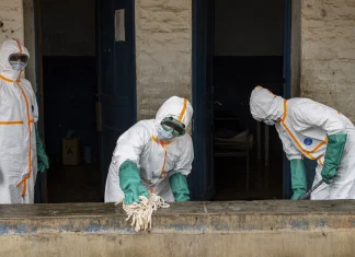 WHO Calls for Urgent Response to Rapidly Spreading Ebola Outbreak WHO urges action over 'fast moving' Ebola outbreak
