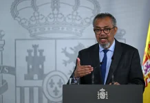 WHO chief: Efforts continue after the hantavirus evacuation 'Work not over' after hantavirus evacuation - WHO chief