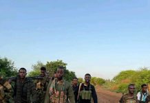 Sarkaal ka tirsan Alshabaab oo isu soo dhiibey ciidamada dowlada