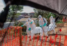 Congo Reports Confirmed Ebola Case Count Climbs to 956 Congo says confirmed Ebola cases rise to 956