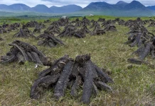 EU Sues Ireland Over Failure to Enforce Peat-Cutting Rules EU taking Ireland to court over peat-cutting enforcement